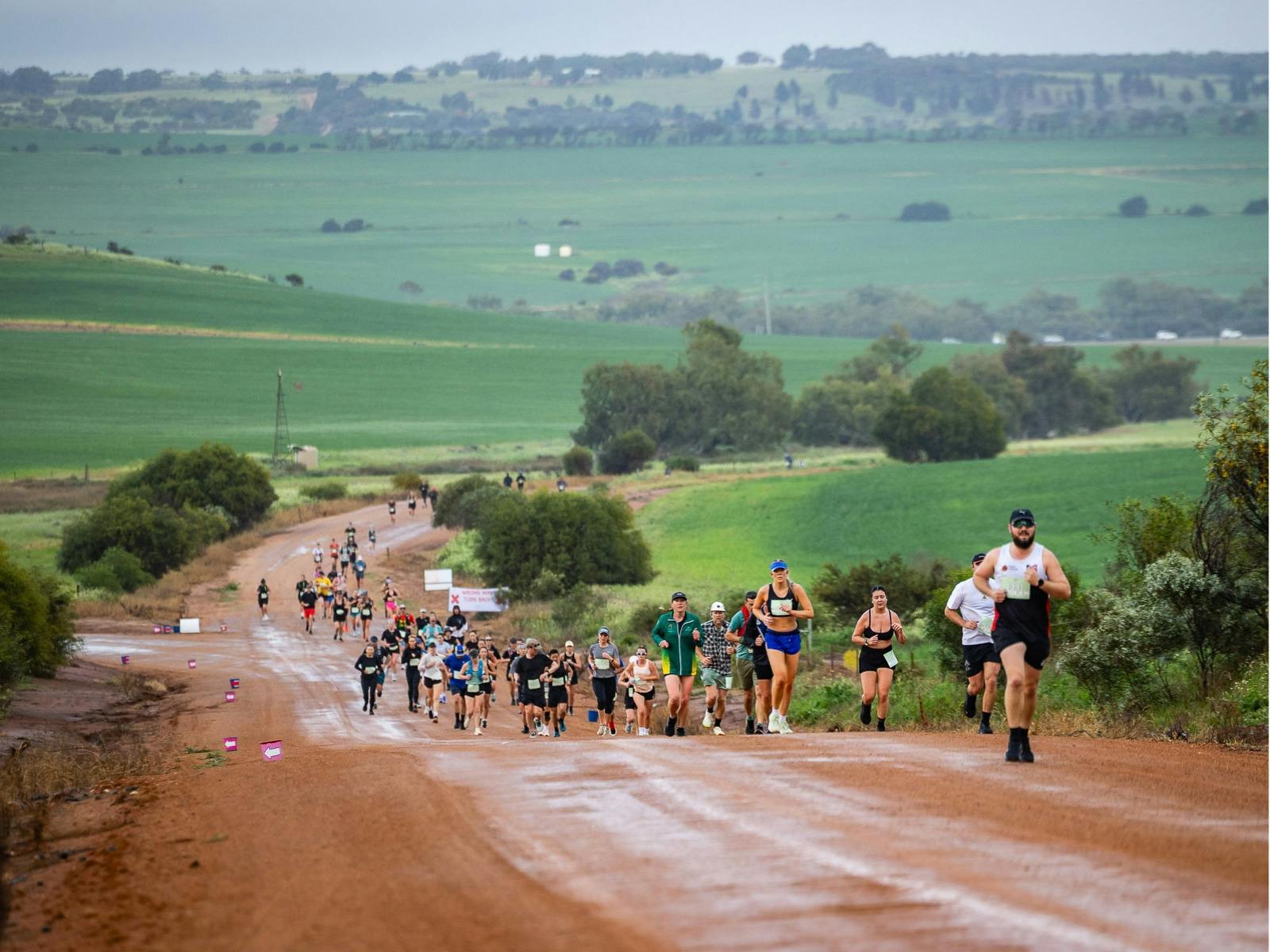 Runners on a wet red dirt road surrounded by green Chapman Valley farmland.