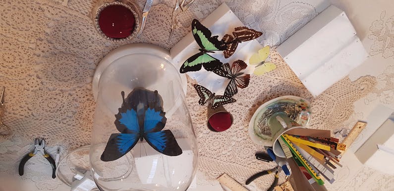 Image of the event 'Entomology'
