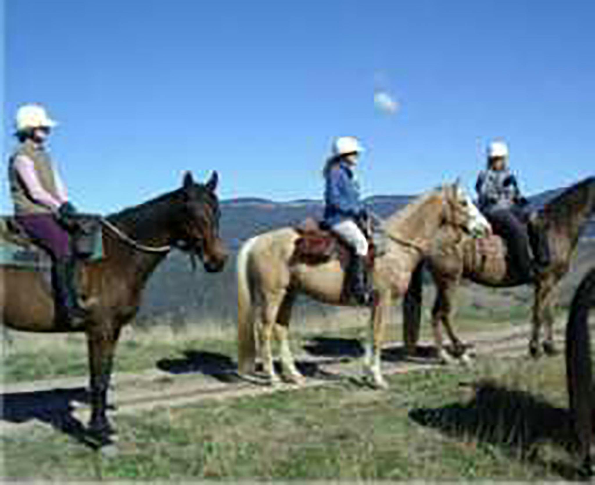 Megalong Valley Tearooms Ride