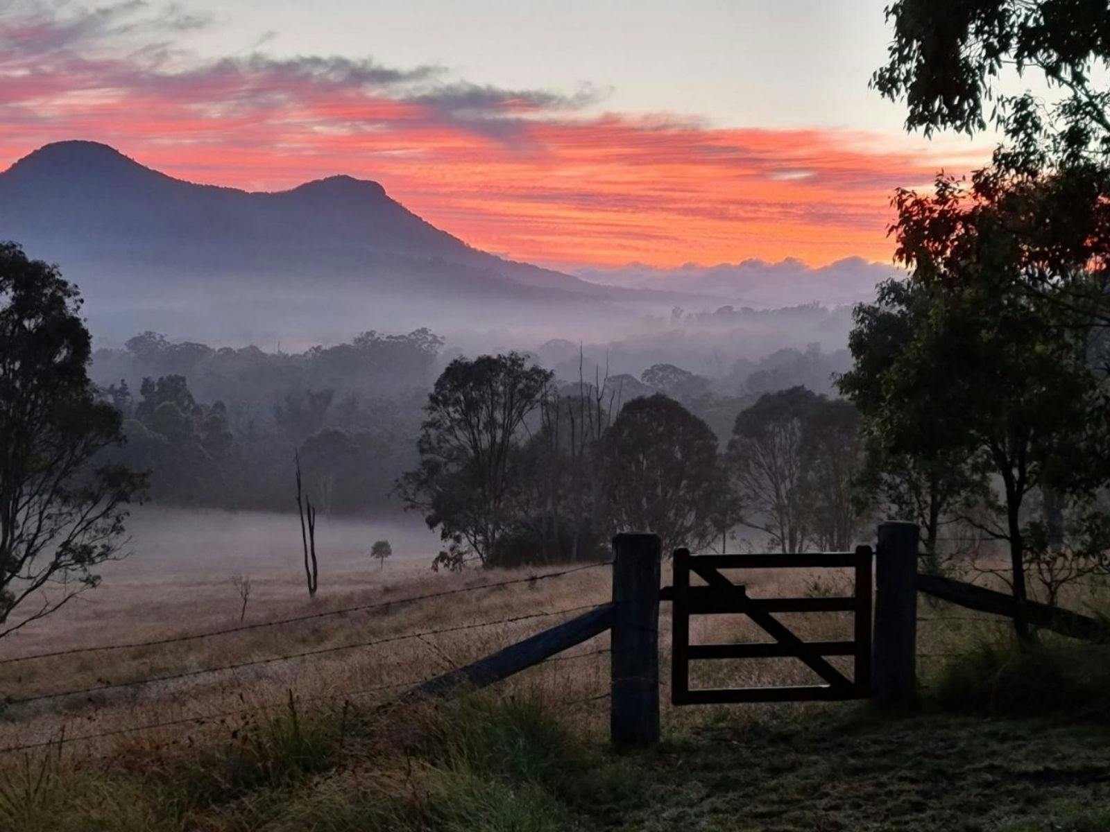 Scenic Rim Trail
