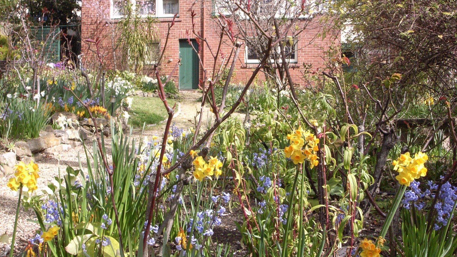 Markree from the garden