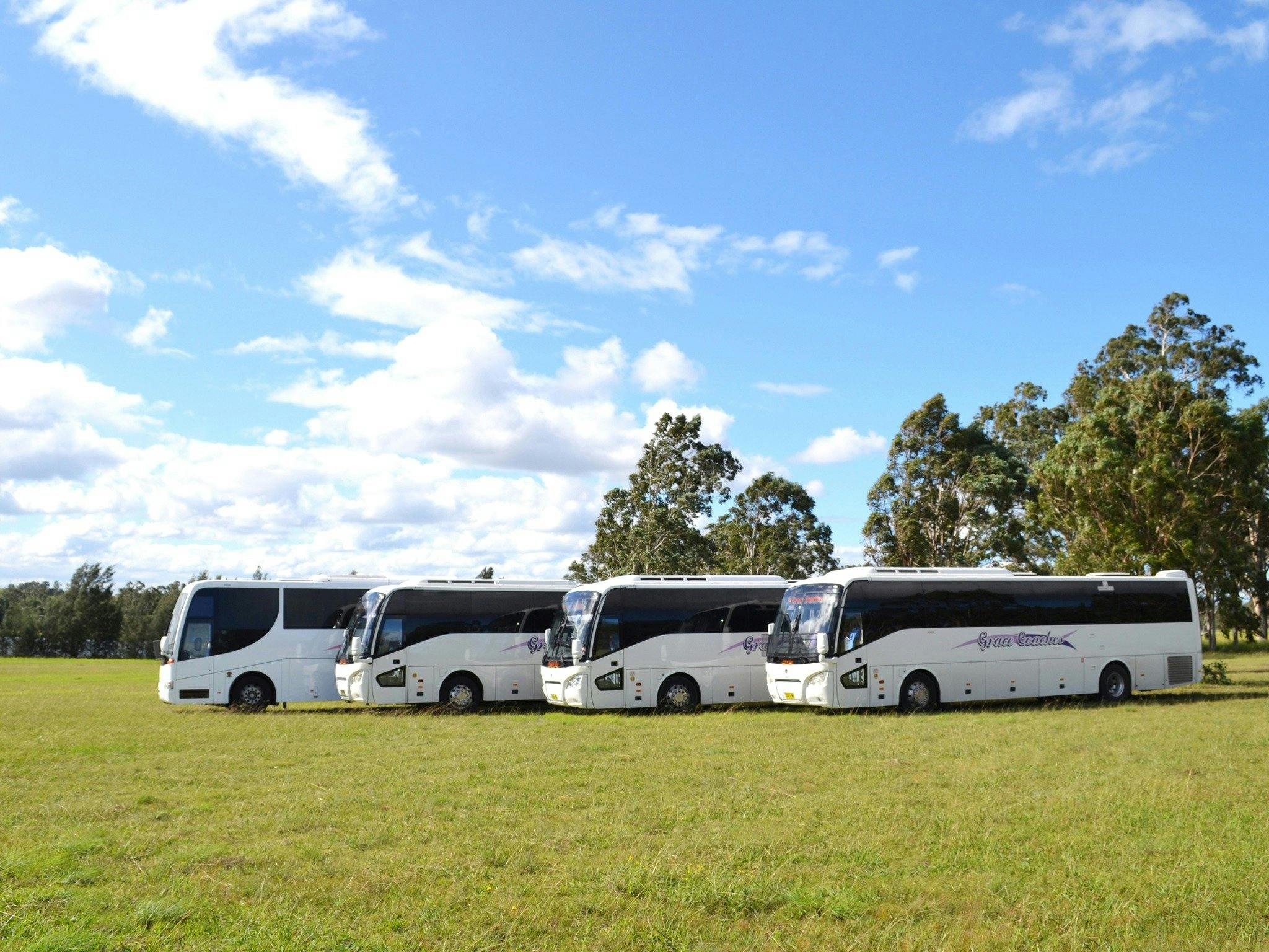 グレースコーチ