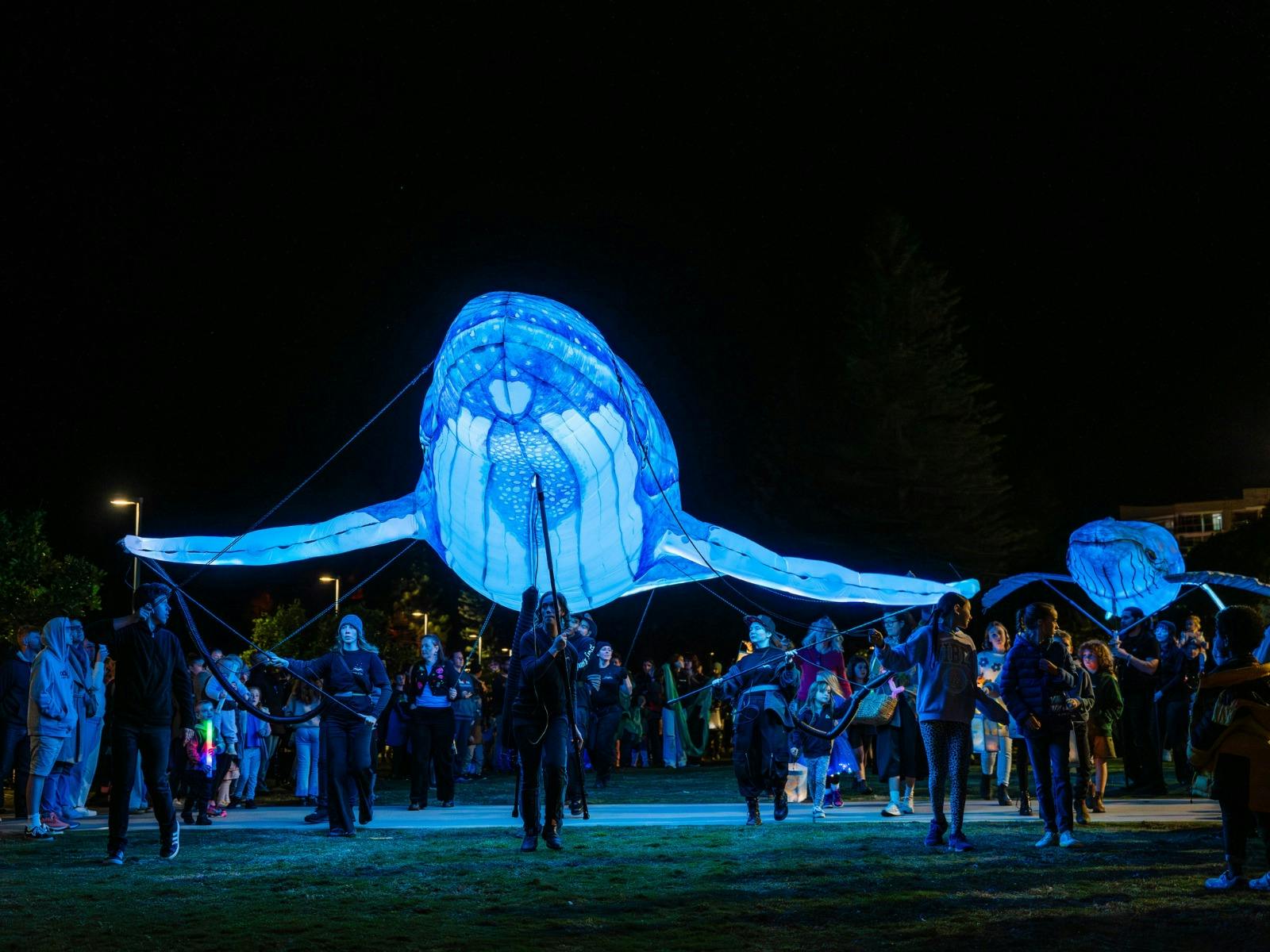 Large whale light installation being carried Large whale light installation being carried