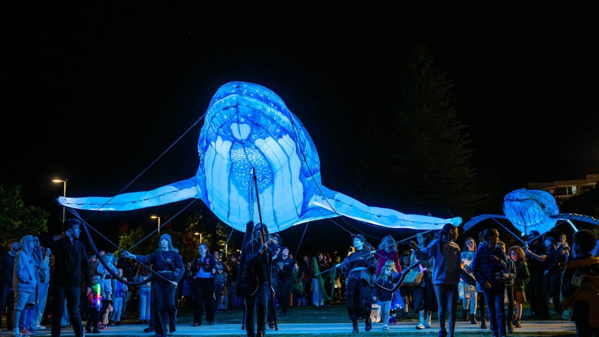 Large whale light installation being carried