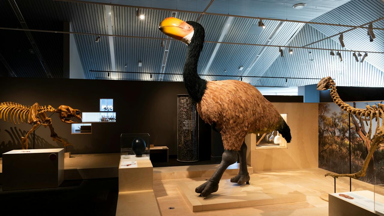 Megafauna Central Alice Springs