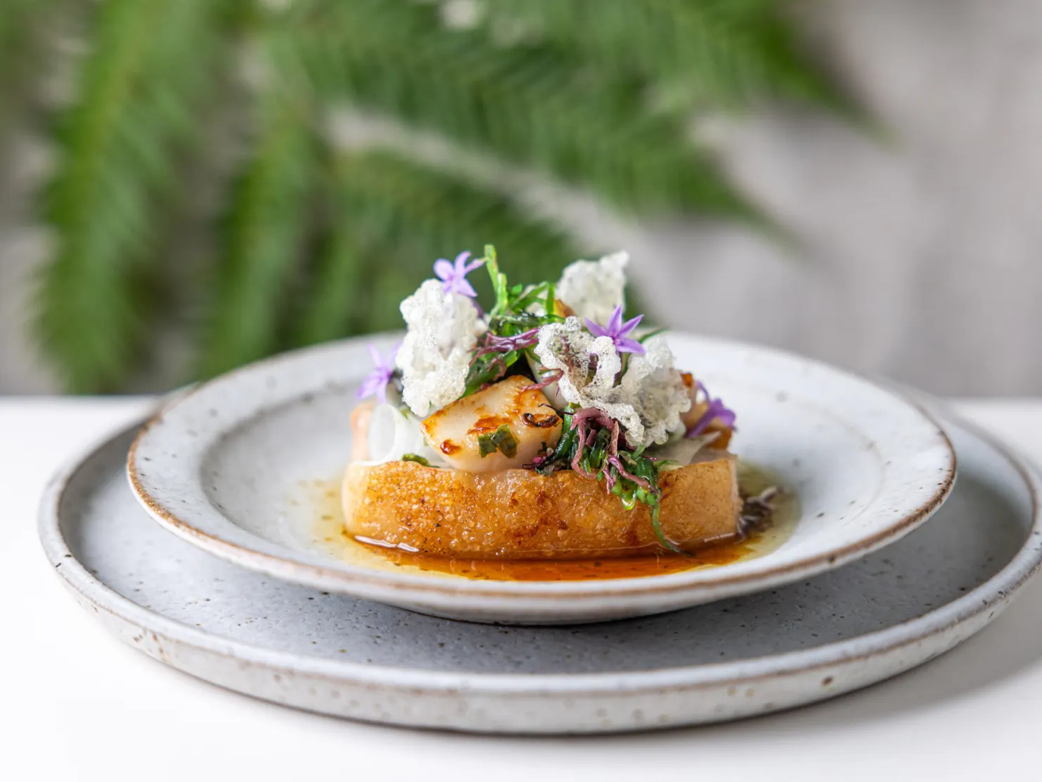 Belvedere farm pork jowl, scallops, Tasmanian seaweeds, ponzu, truffle