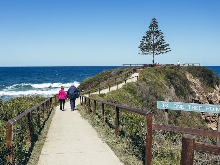 Path to One Tree Point Lookout