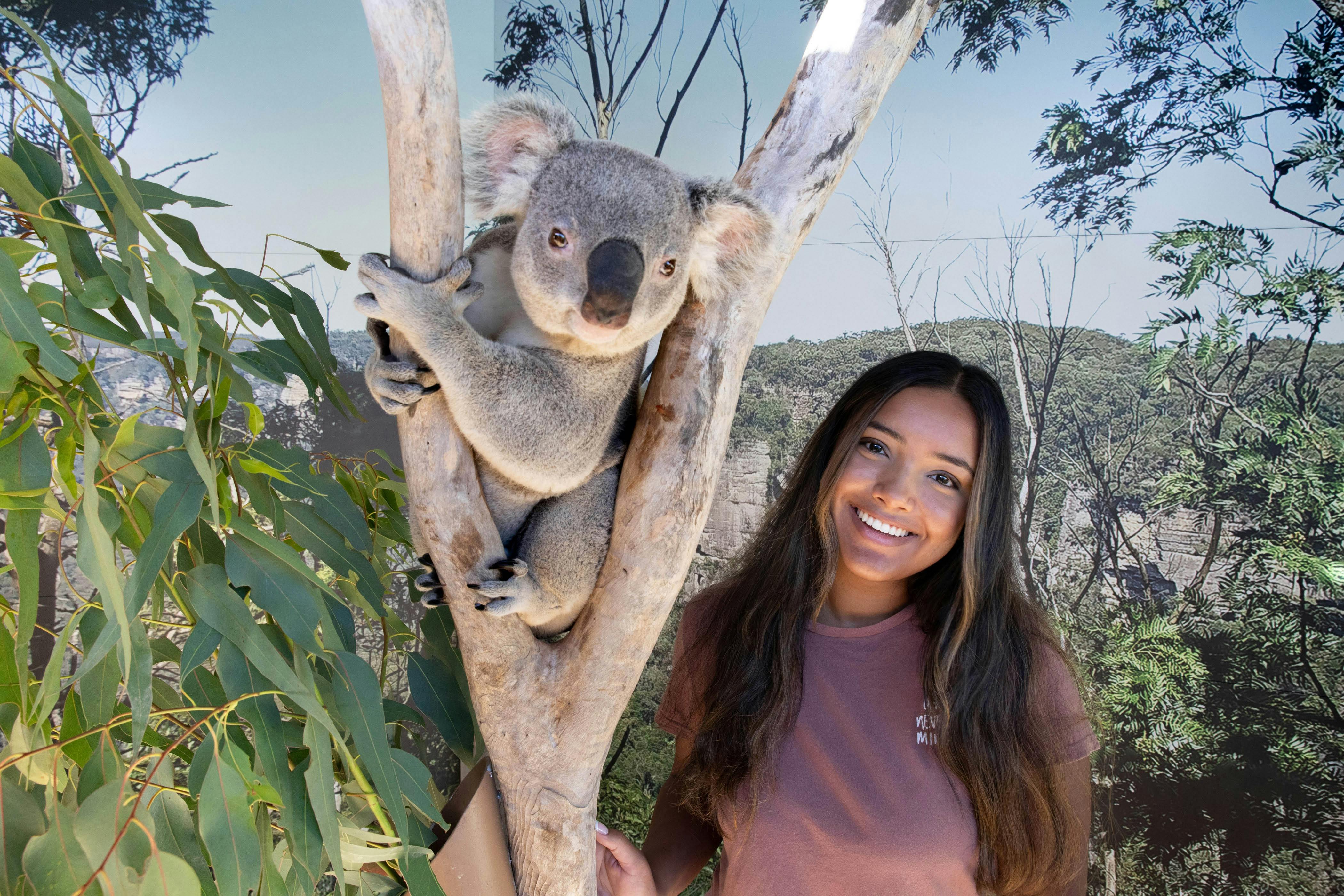 Get your FREE digital photo of you up close to a Koala