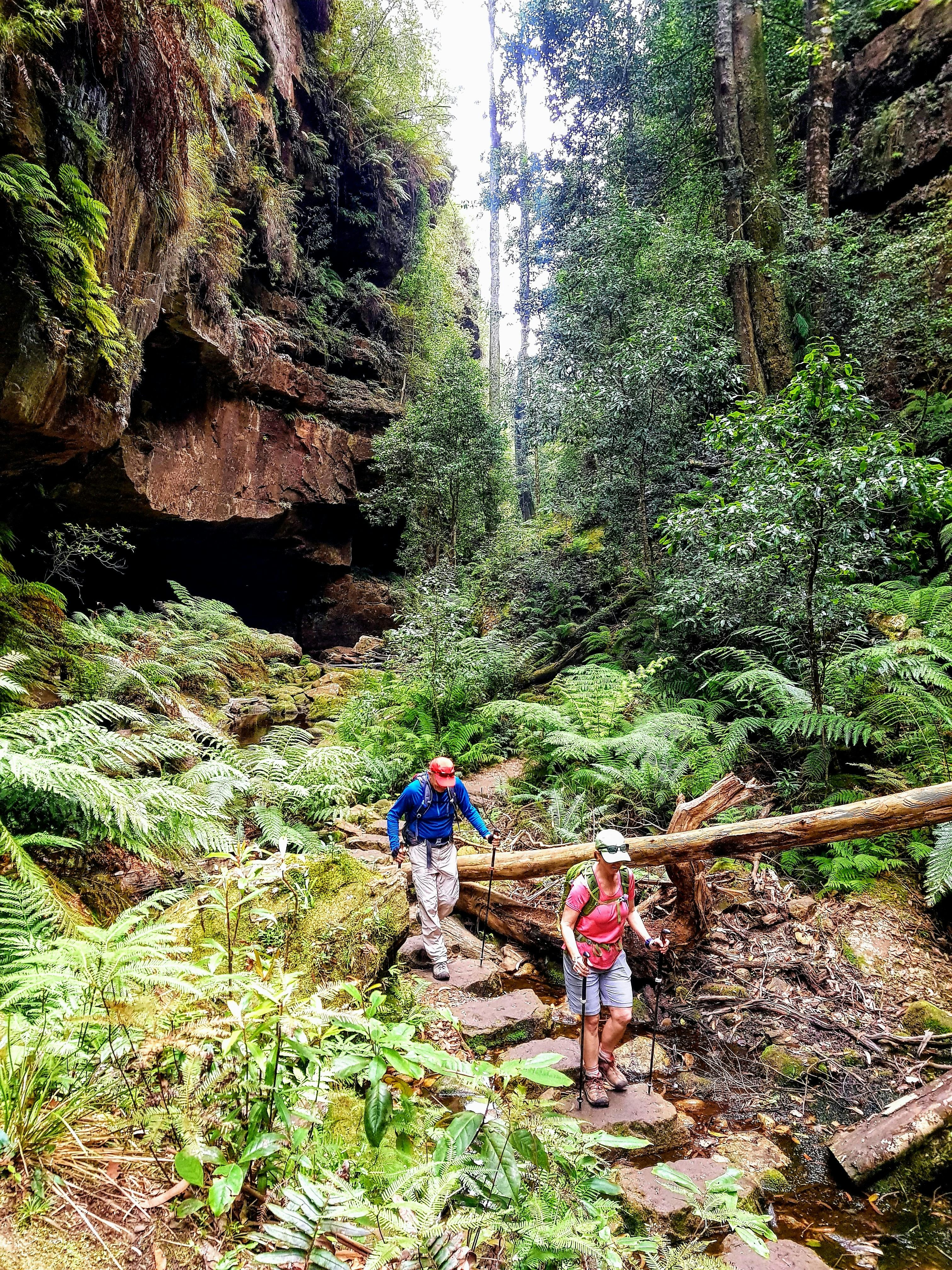 Great Blue Mountains Traverse - 3-Day Guided Pack-Free Walk with Life's An Adventure