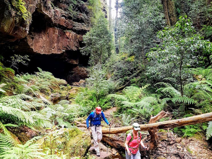 Great Blue Mountains Traverse - 3-Day Guided Pack-Free Walk with Life's An Adventure