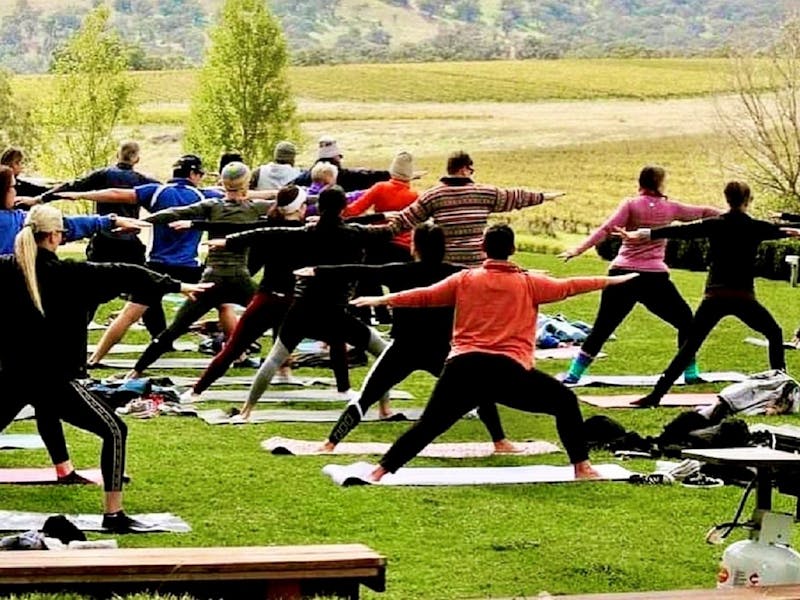 Image for Yoga in the Vines