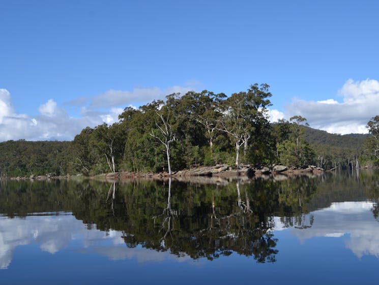 Lake Yarrunga Landscape
