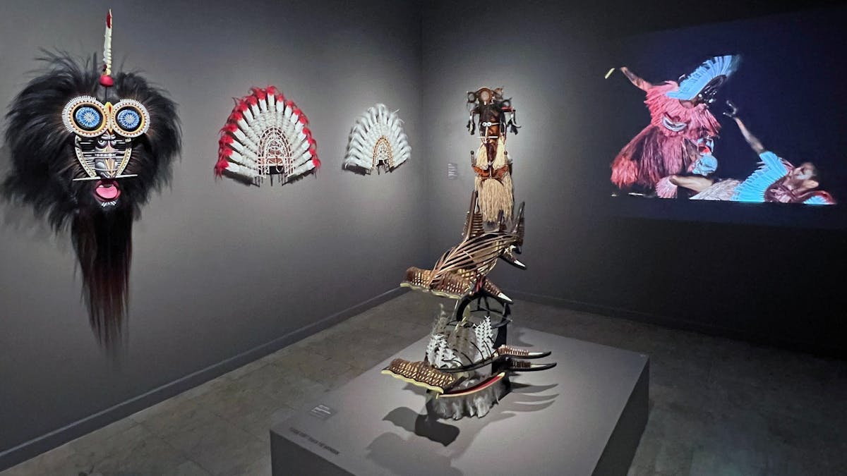 Torres Strait Island masks exhibition in Niche Gallery in Cairns Art Gallery