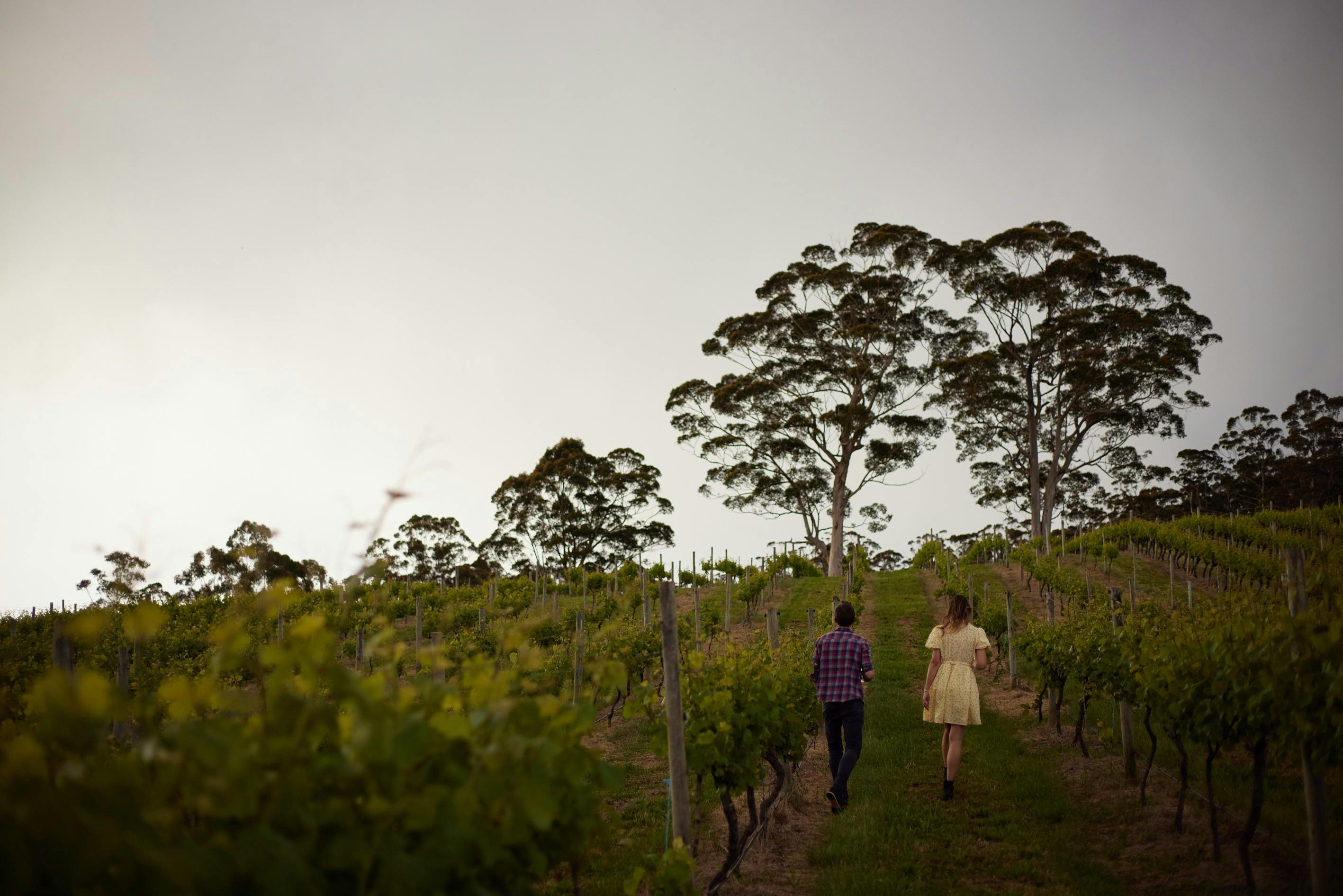 Rockcliffe Winery