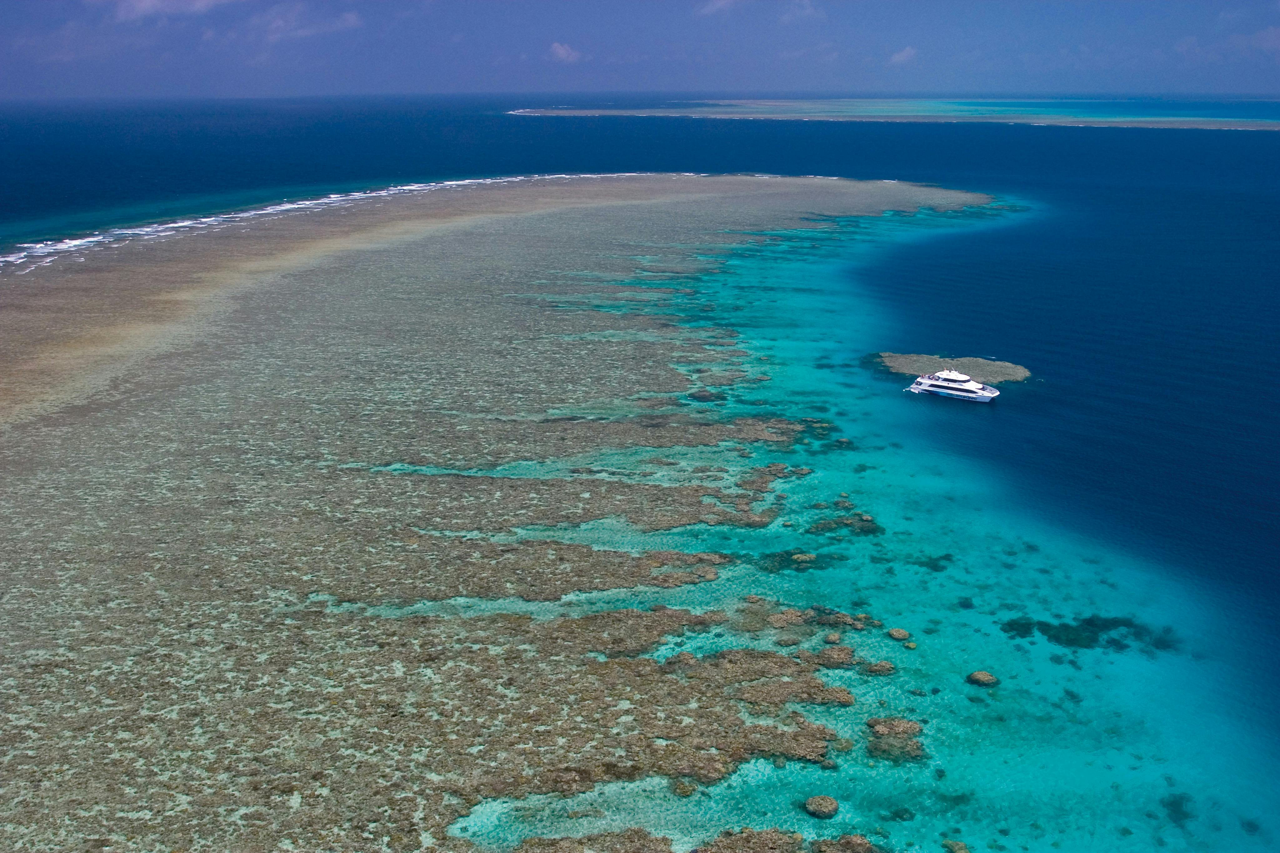 Silversonic Dive and Snorkel Adventures