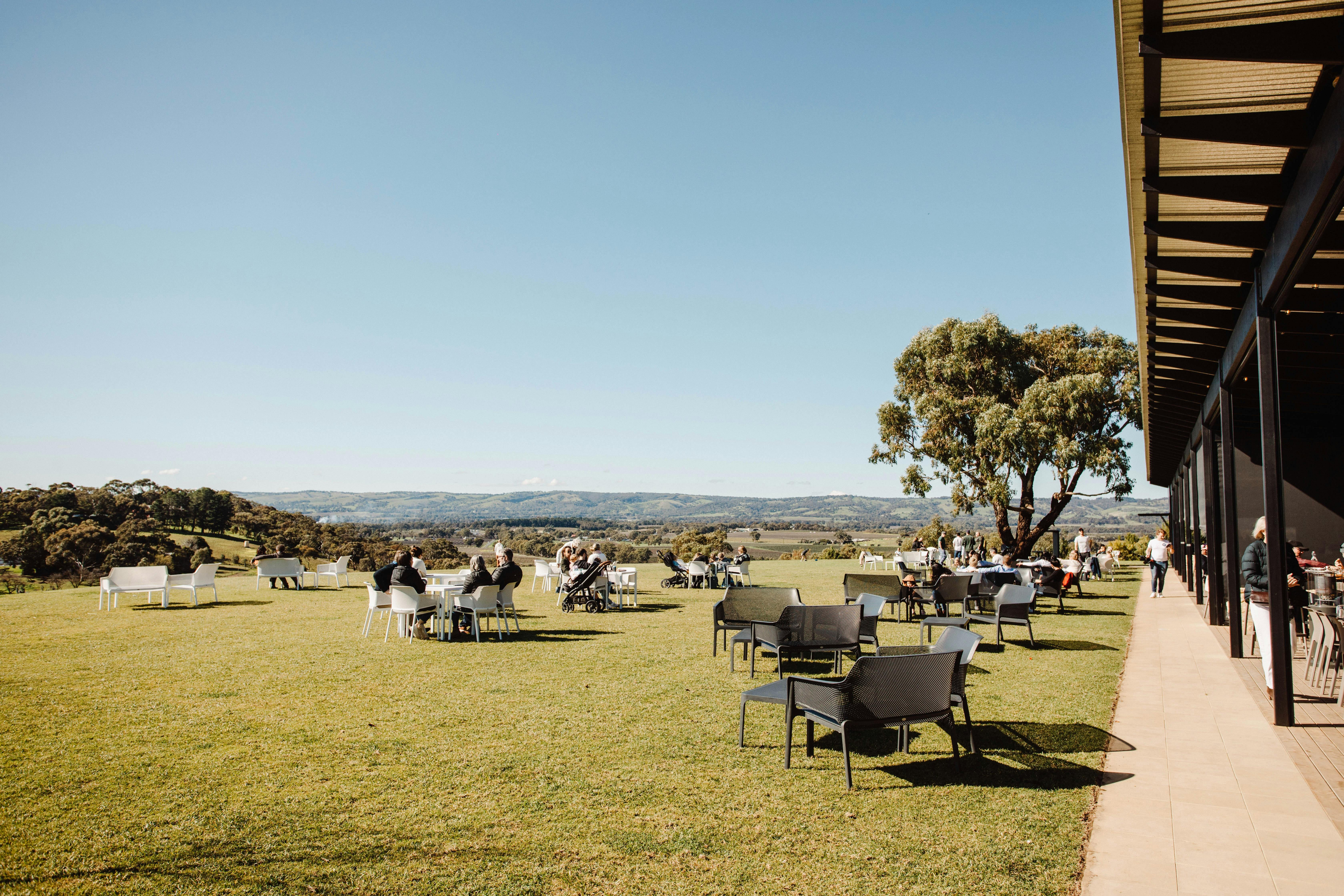 Guests enjoying the lawn at the Chalk Hill Collective