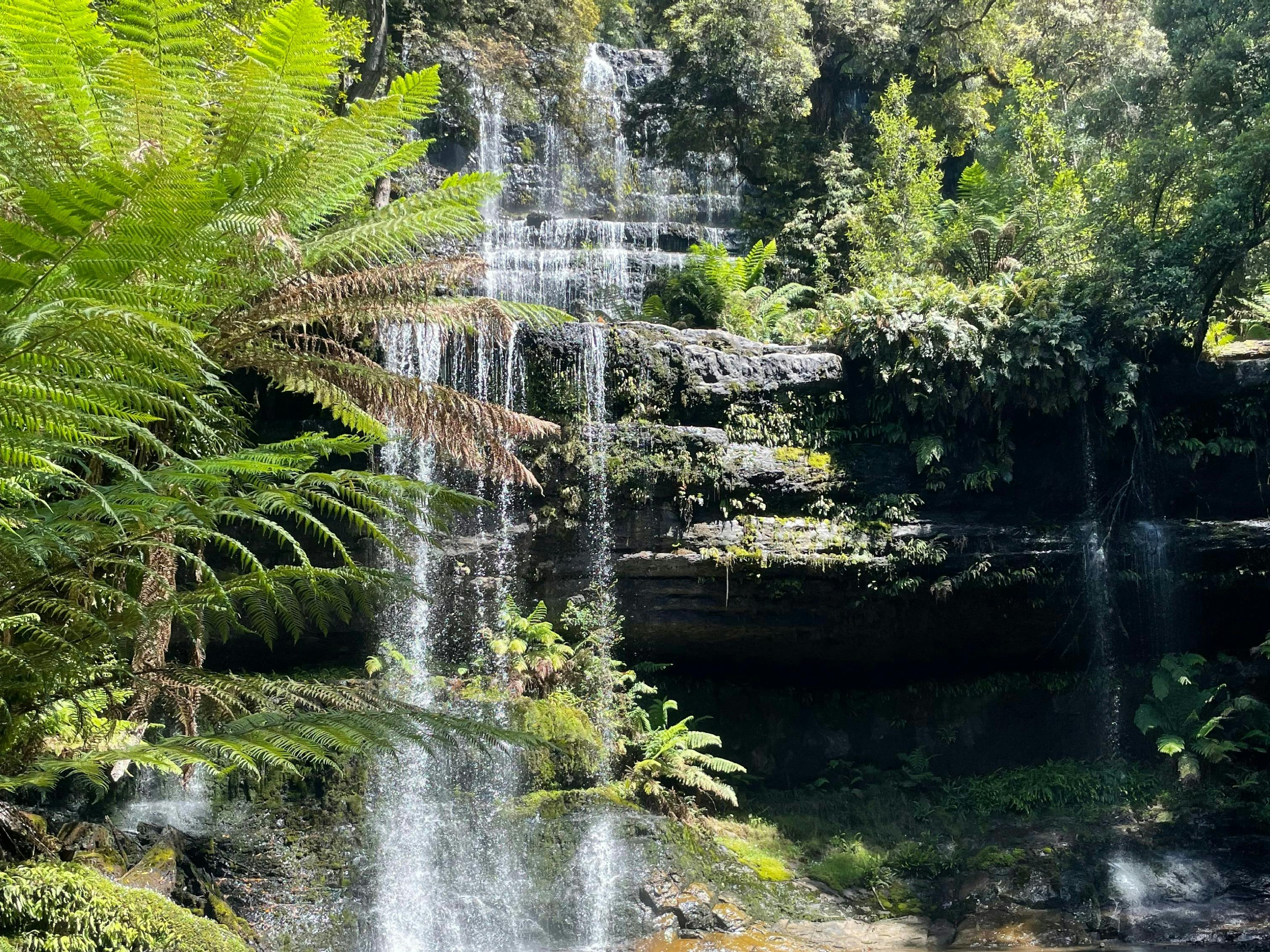 View of Russel Falls