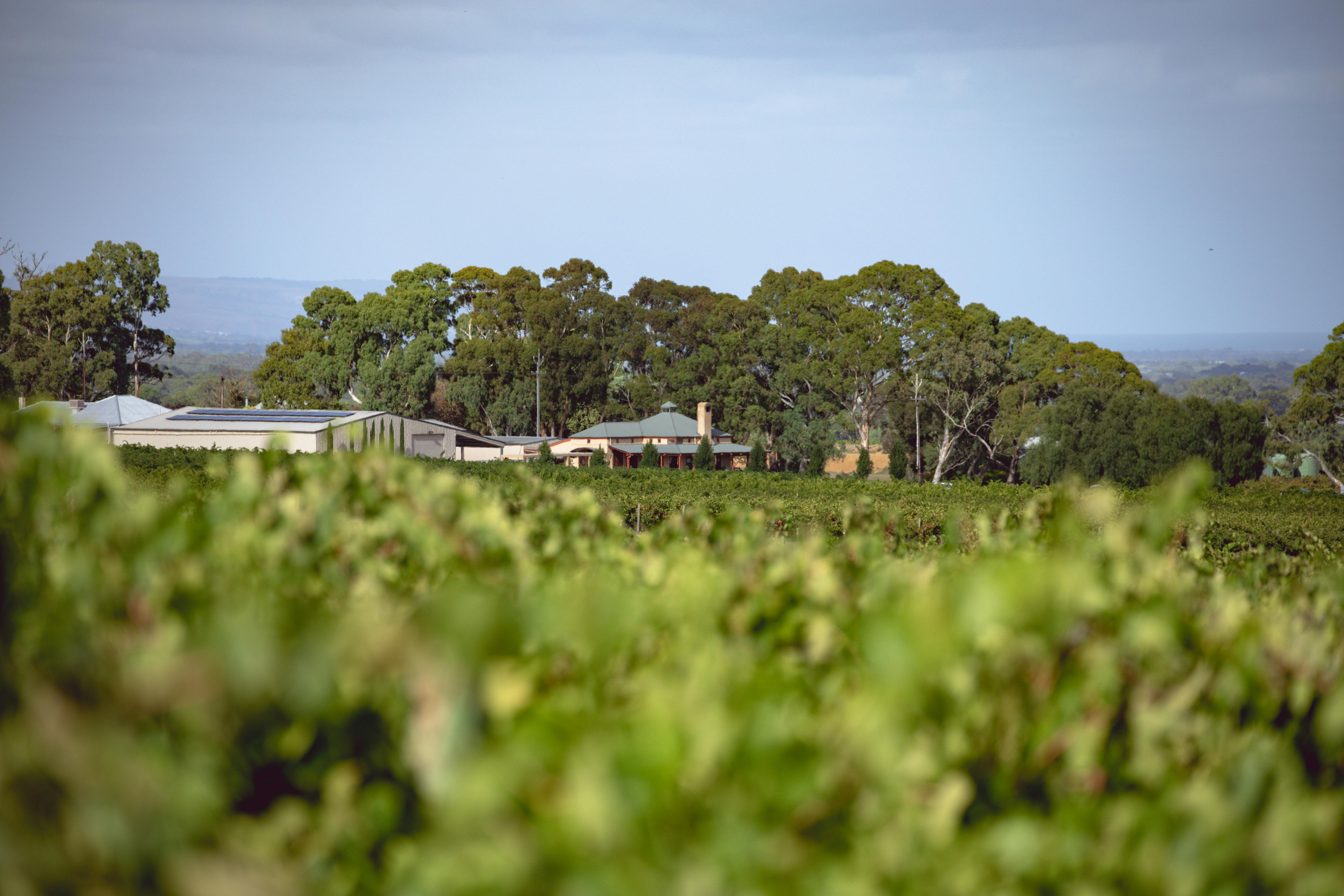 Hugo Wines