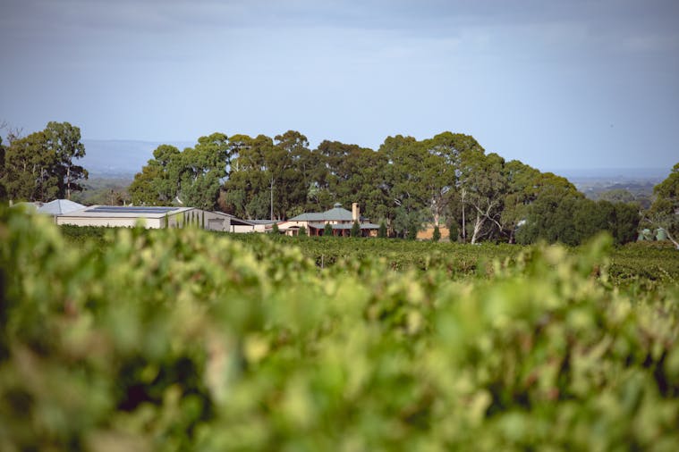 Hugo Wines - Mclaren Flat, Food and Drink | South Australia
