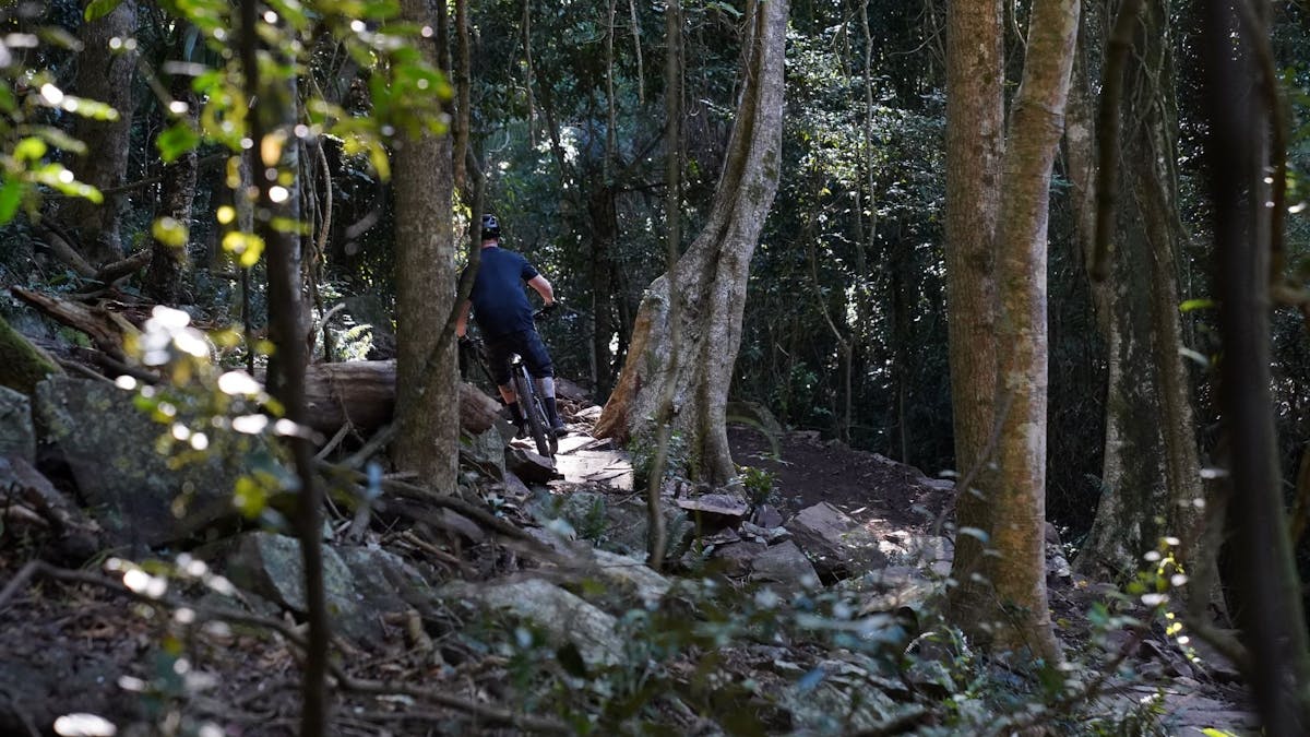 Enjoy the beauty of the rainforest while riding the trails.