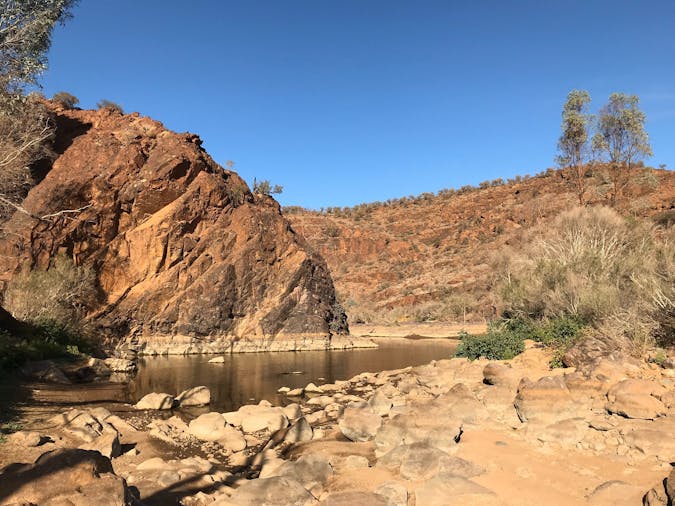 Arkaroola Under the Stars With The Stars