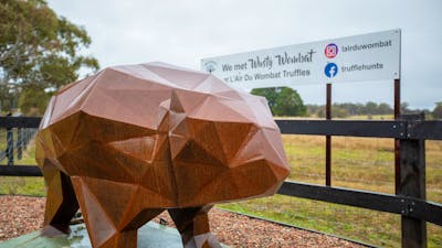 Wombat sculptor at gate entry