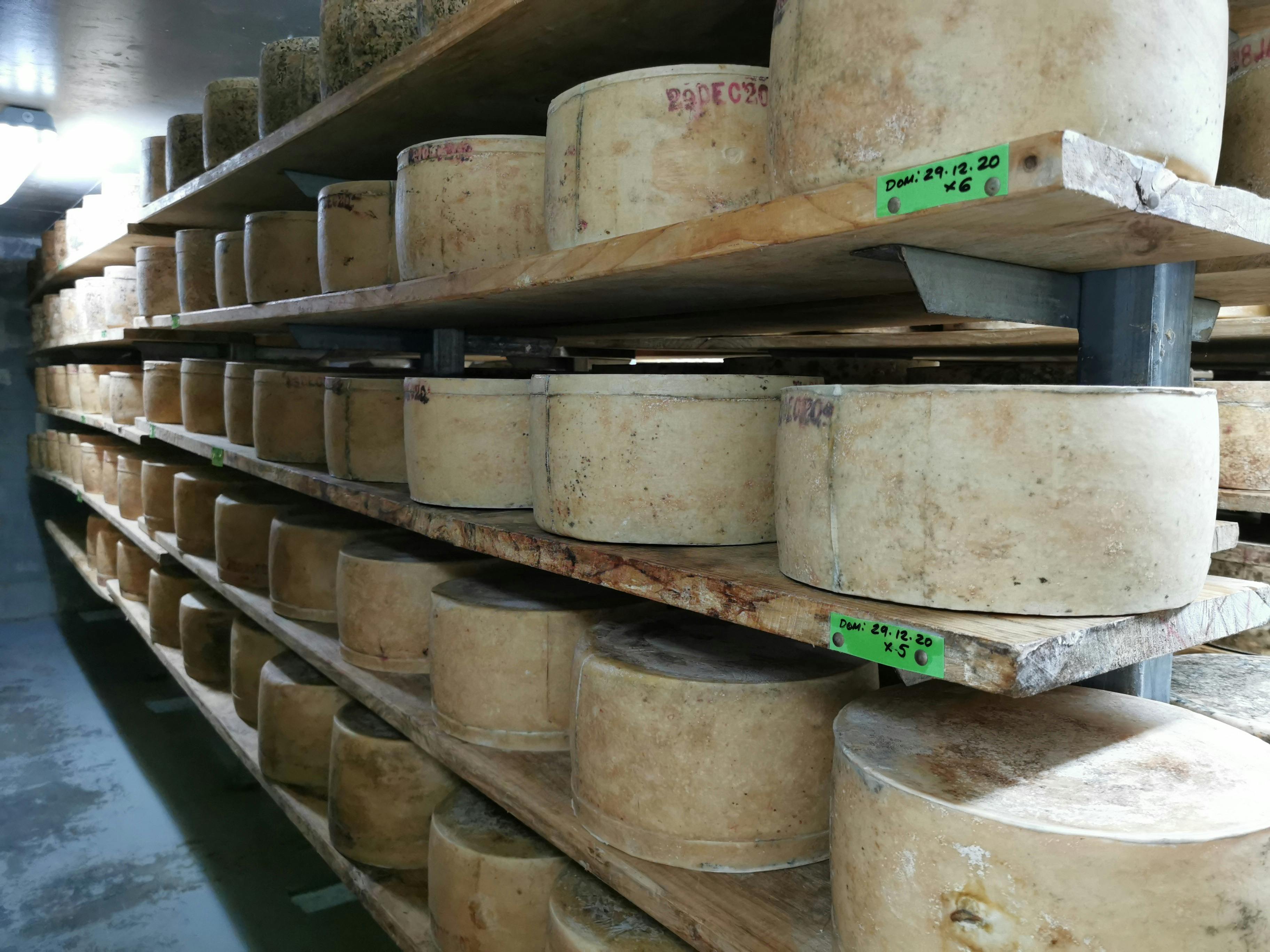 Pyengana Dairy Farm Gate Cafe Food and drink Discover Tasmania