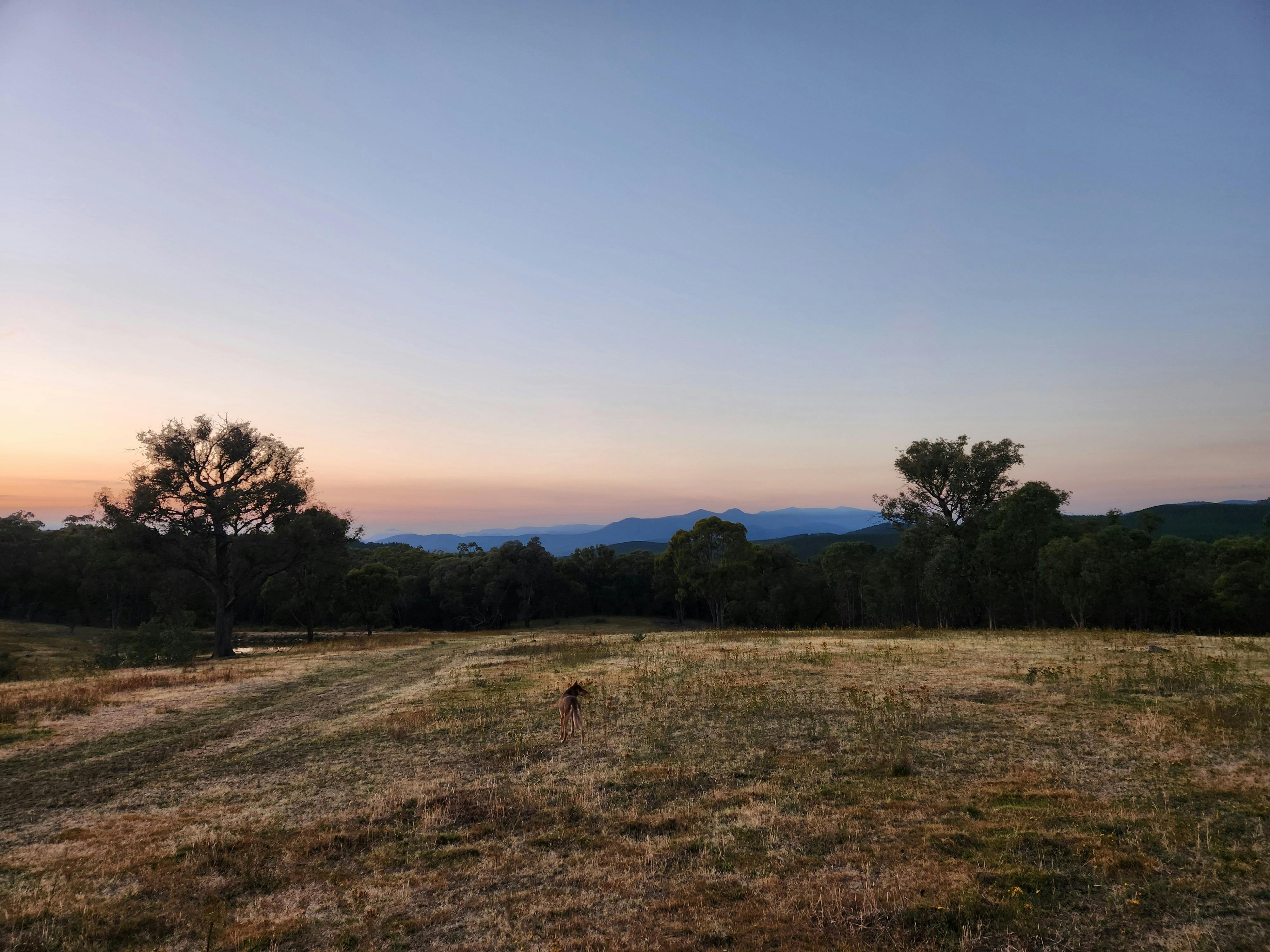 Brindabella National Park 2 day Tour