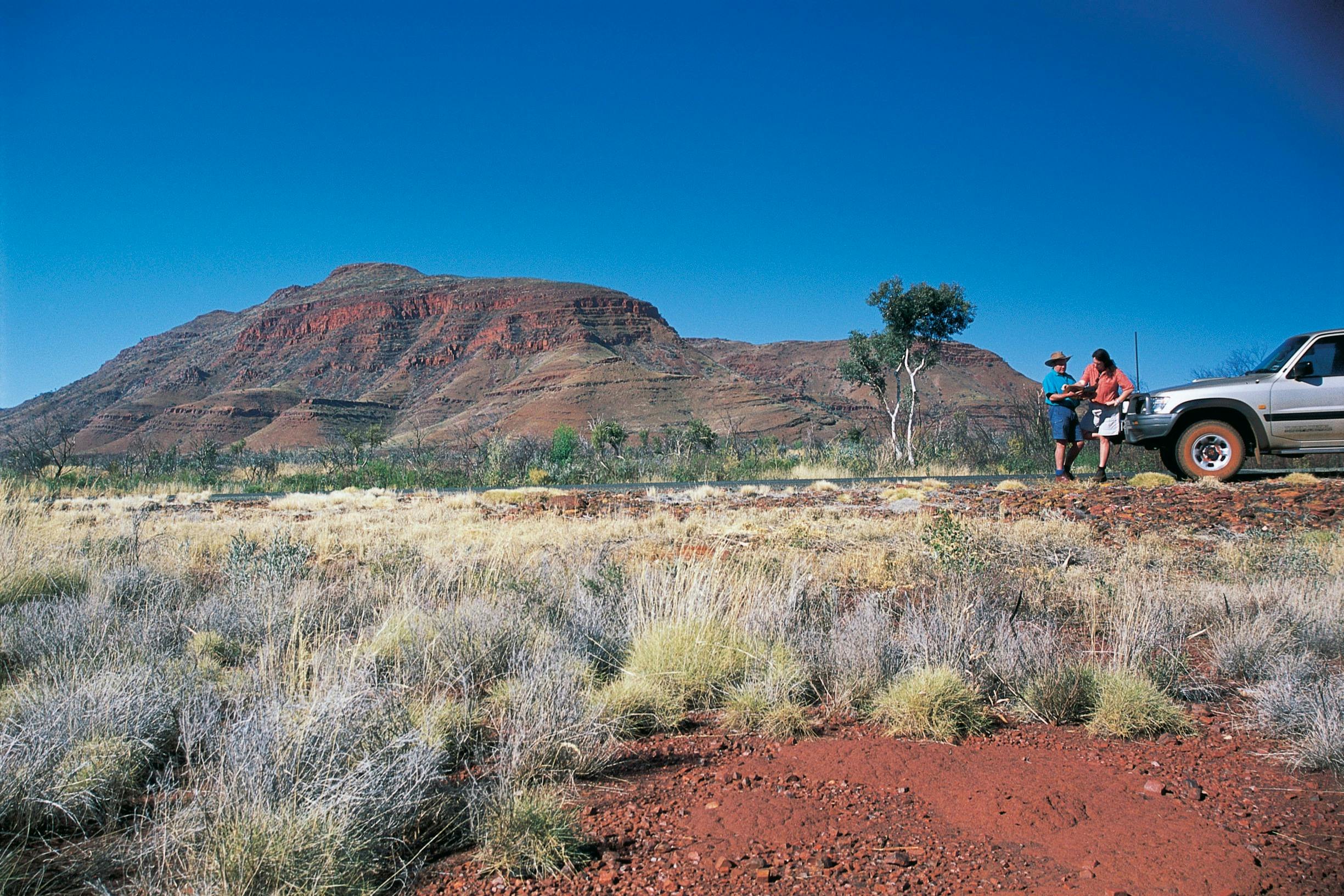 Pilbara Wildflower Trail, Karijini National Park, Western Australia