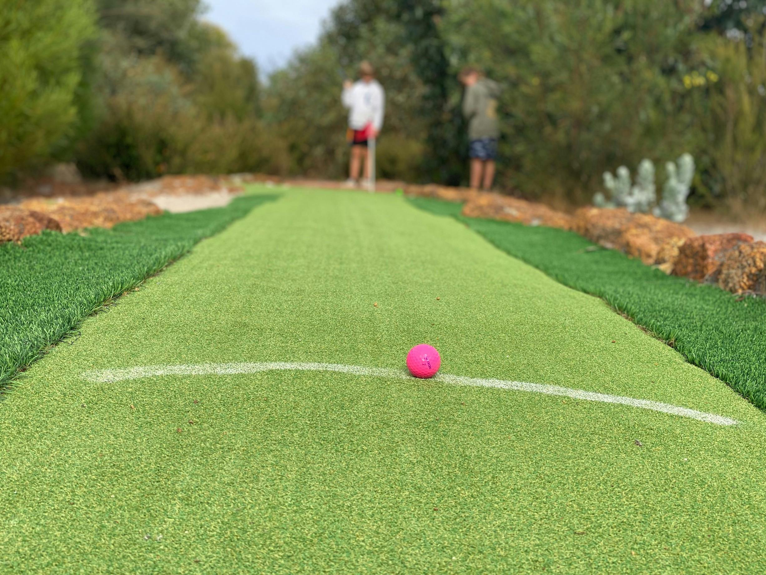 A fun activity for the whole family