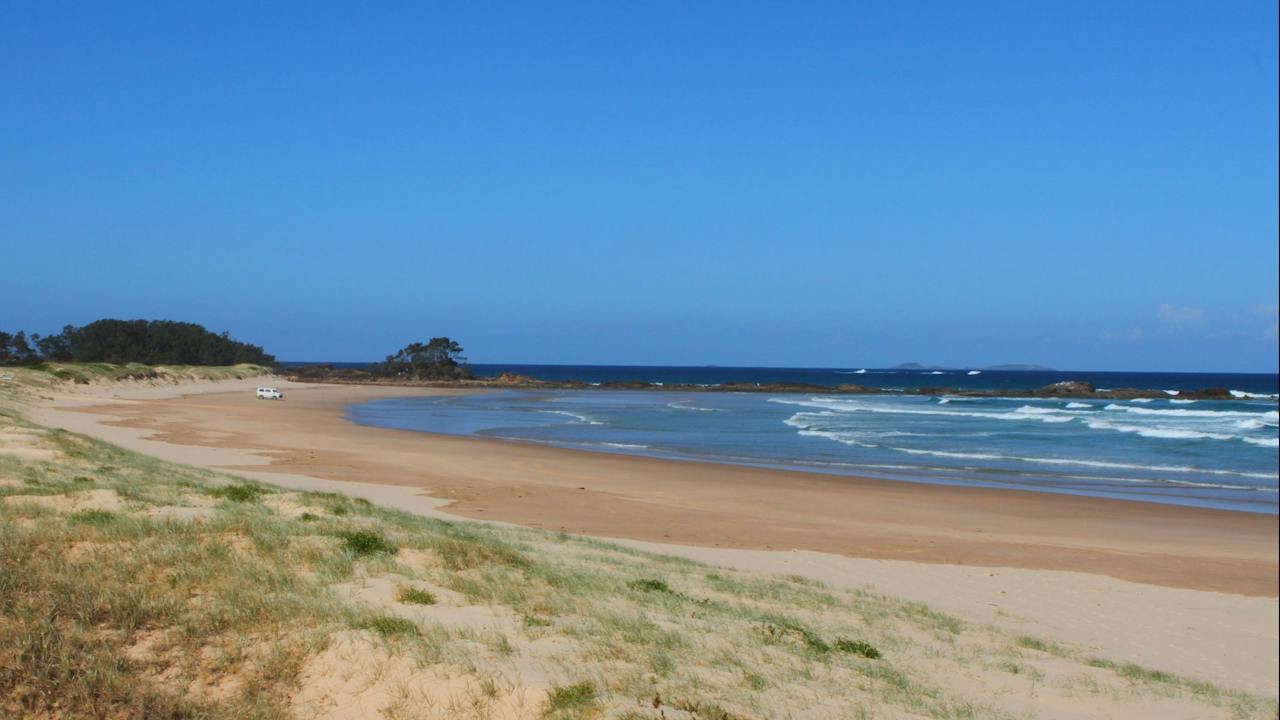 Looking north. Pebbly Beach lies beyond those rocks. That van is actually standing guard over bird n