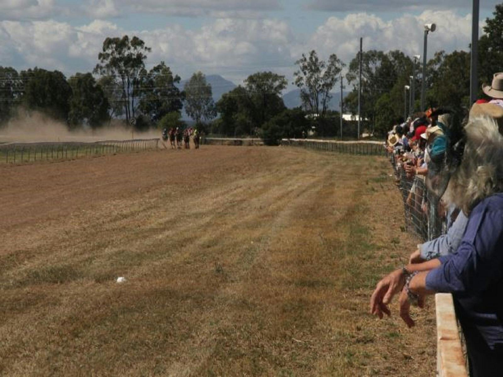 Narrabri Races