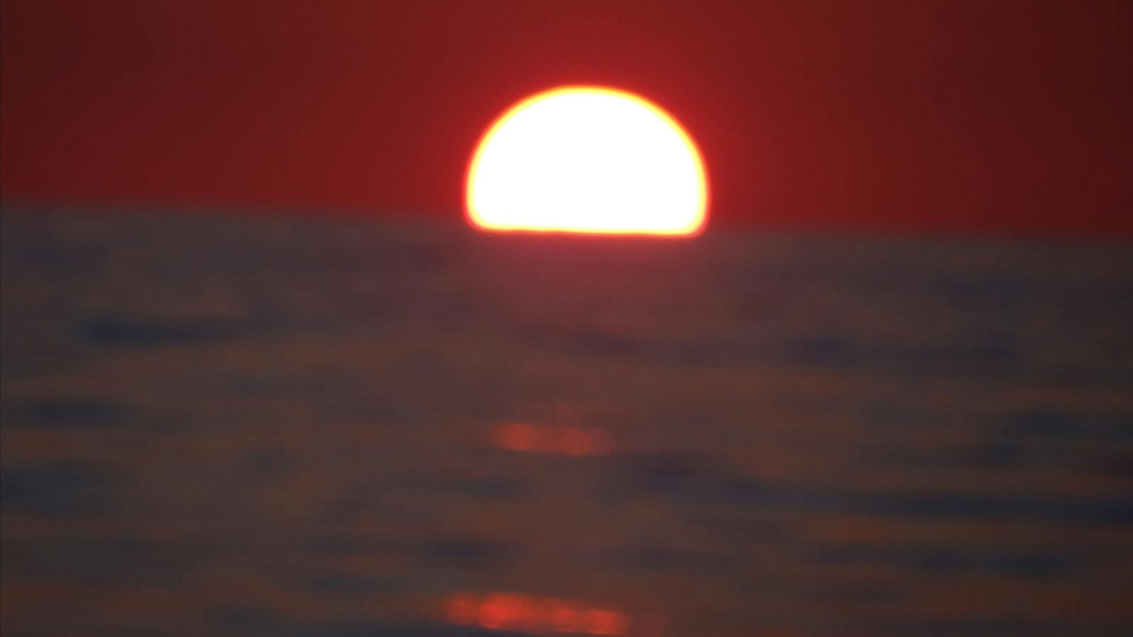 Sailor's delight