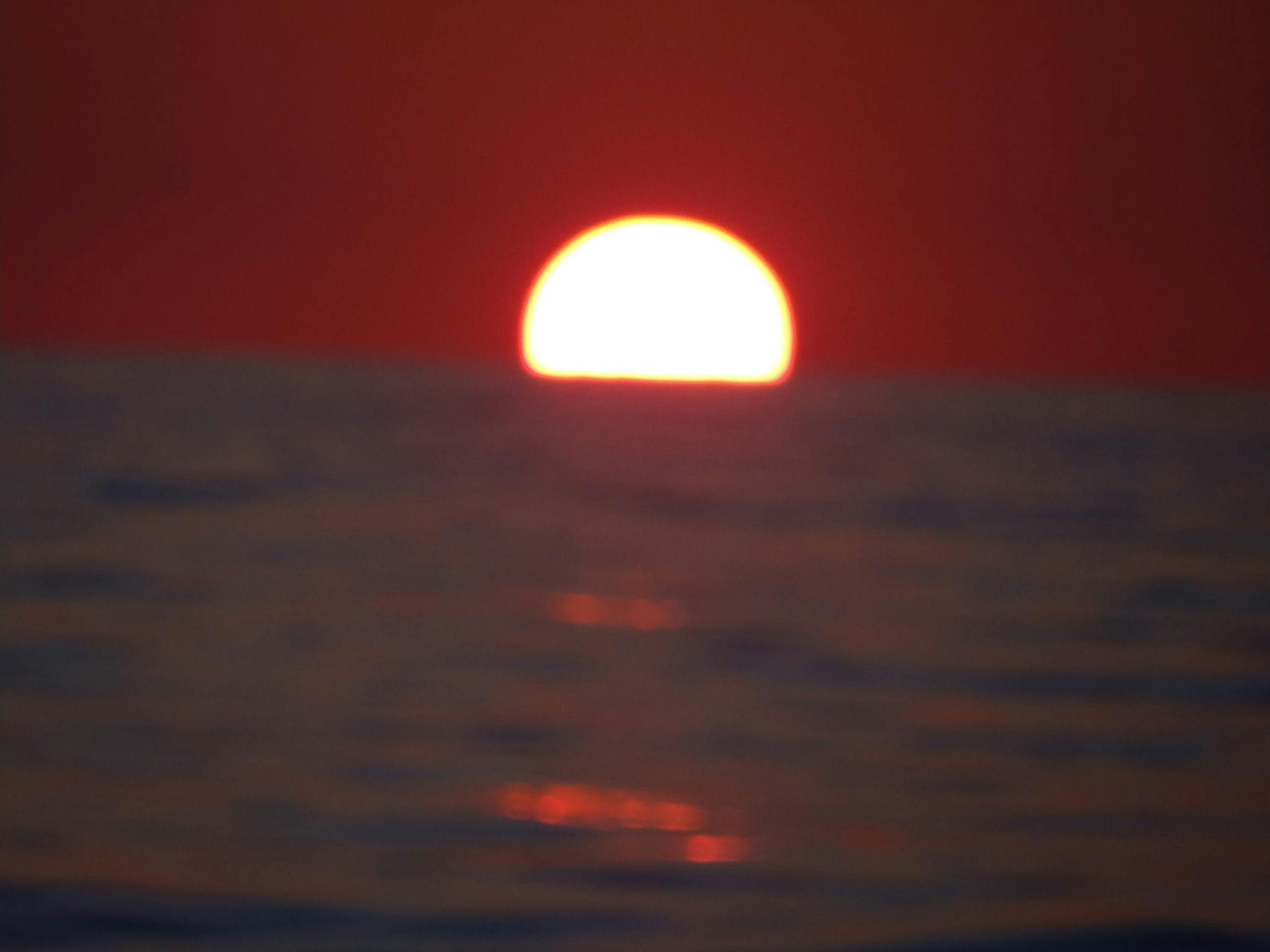 Sailor's delight Sailor's delight