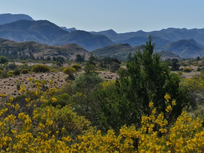 Alpana Station Half Day Eco Tour