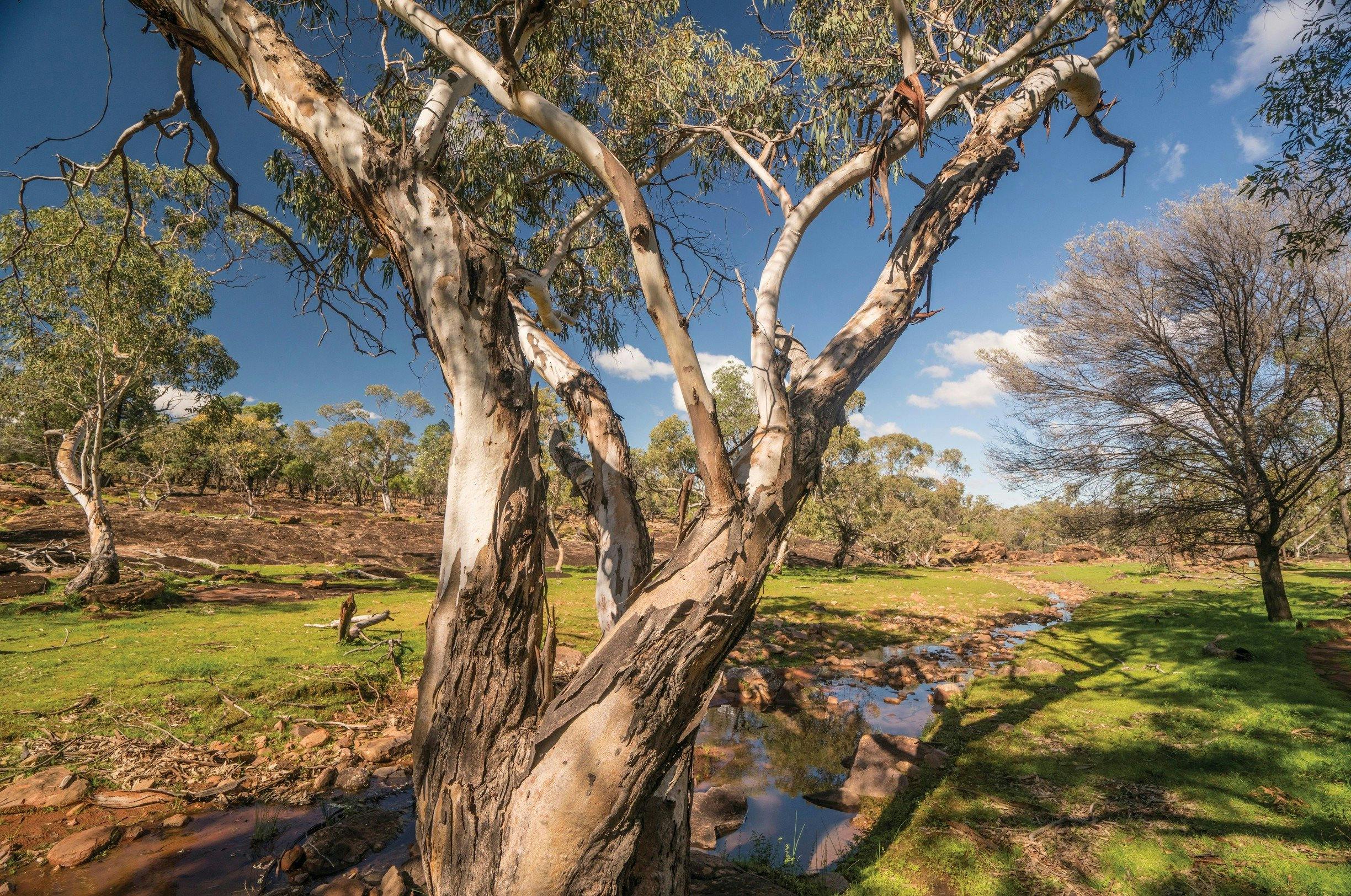 Mount Grenfell Historic Site