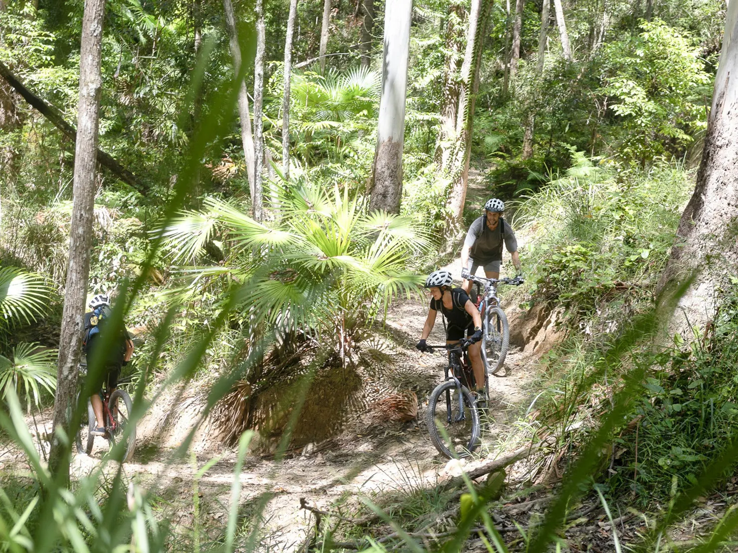 EBike Hire, Emtb Hire, Mountain Bike Hire, Noosa Trails, MTB hire, National Park Ride