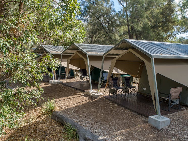Billabong Camp site at Taronga Western Plains Zoo Dubbo