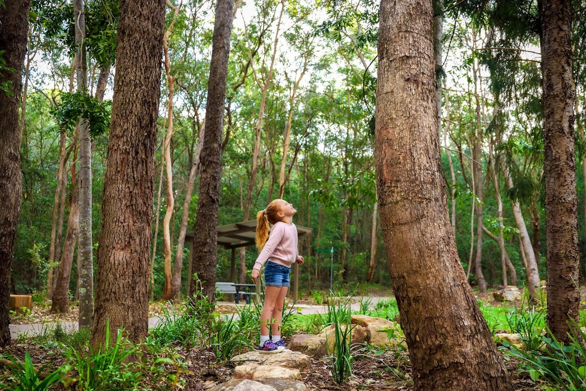 Denmark Hill Conservation Reserve