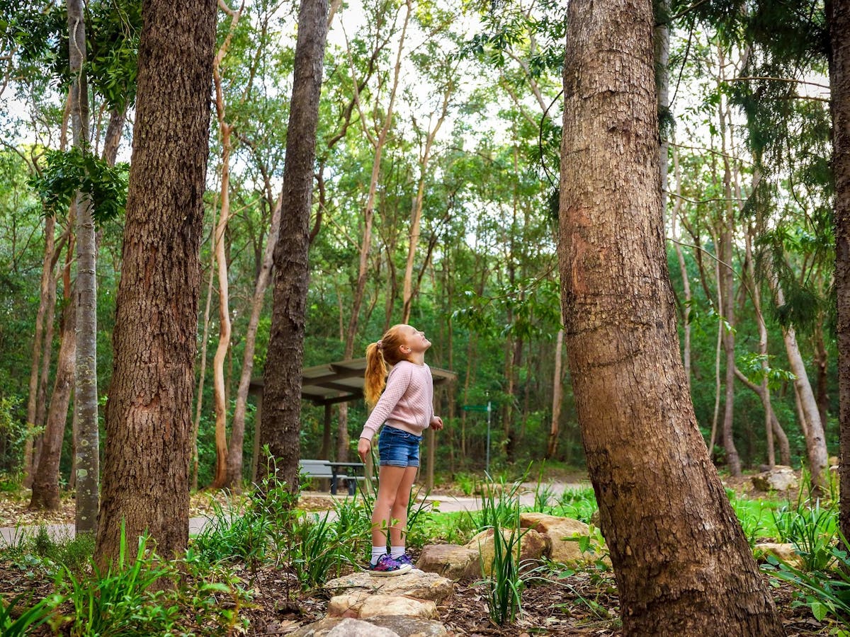 Denmark Hill Conservation Reserve Denmark Hill Conservation Reserve