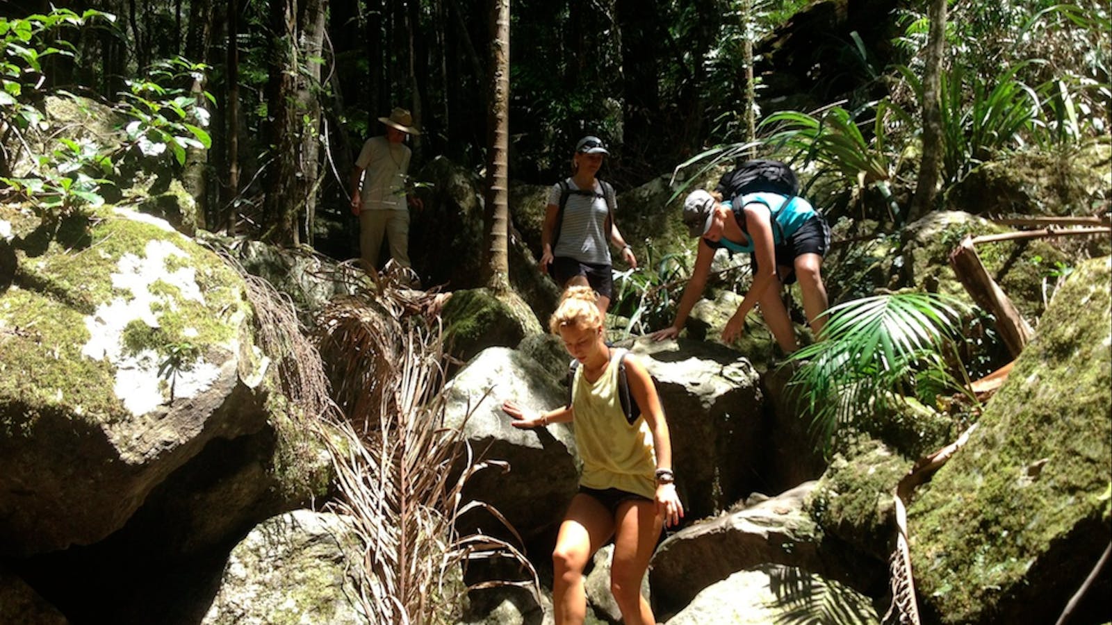 Byron Bay Adventure Tours