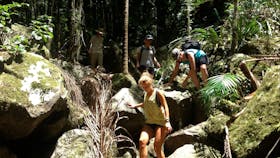 Earth to Surf Adventure