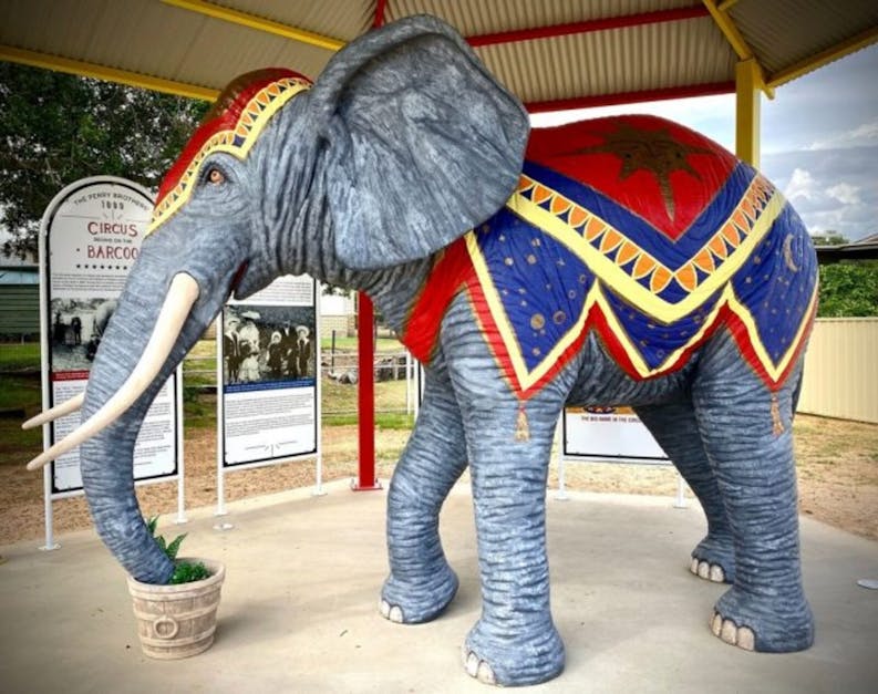Perry Bros Circus Elephant