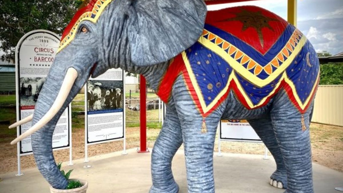 'Jumbo' Perry Bros Elephant