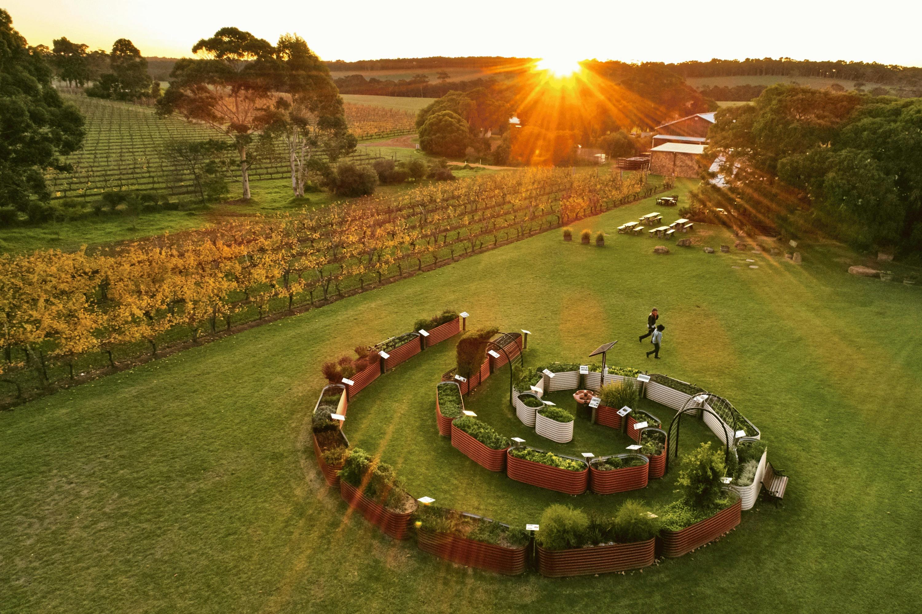 Cullen Vineyard and Spiral Garden