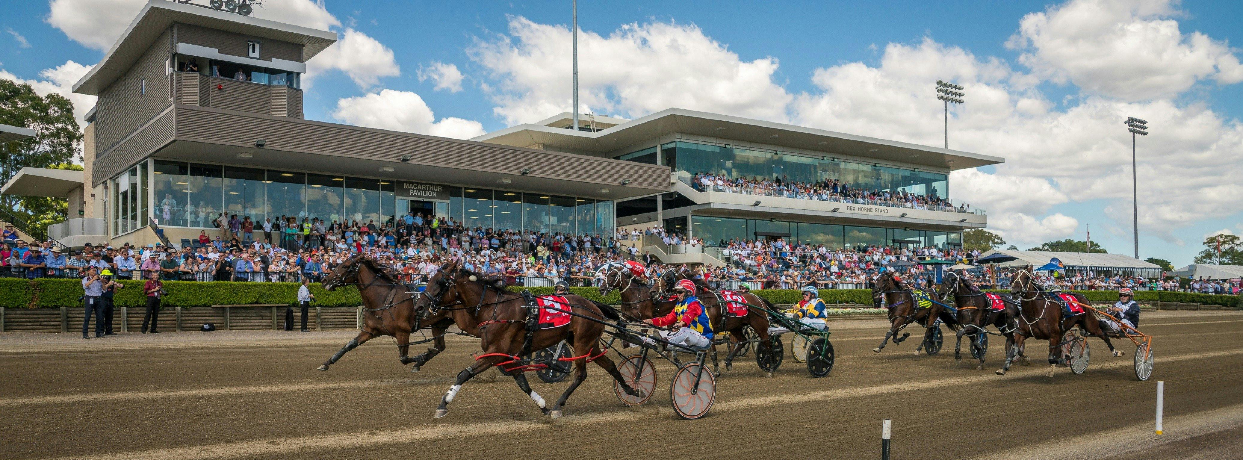 Top 10 Harness Drivers In Australia