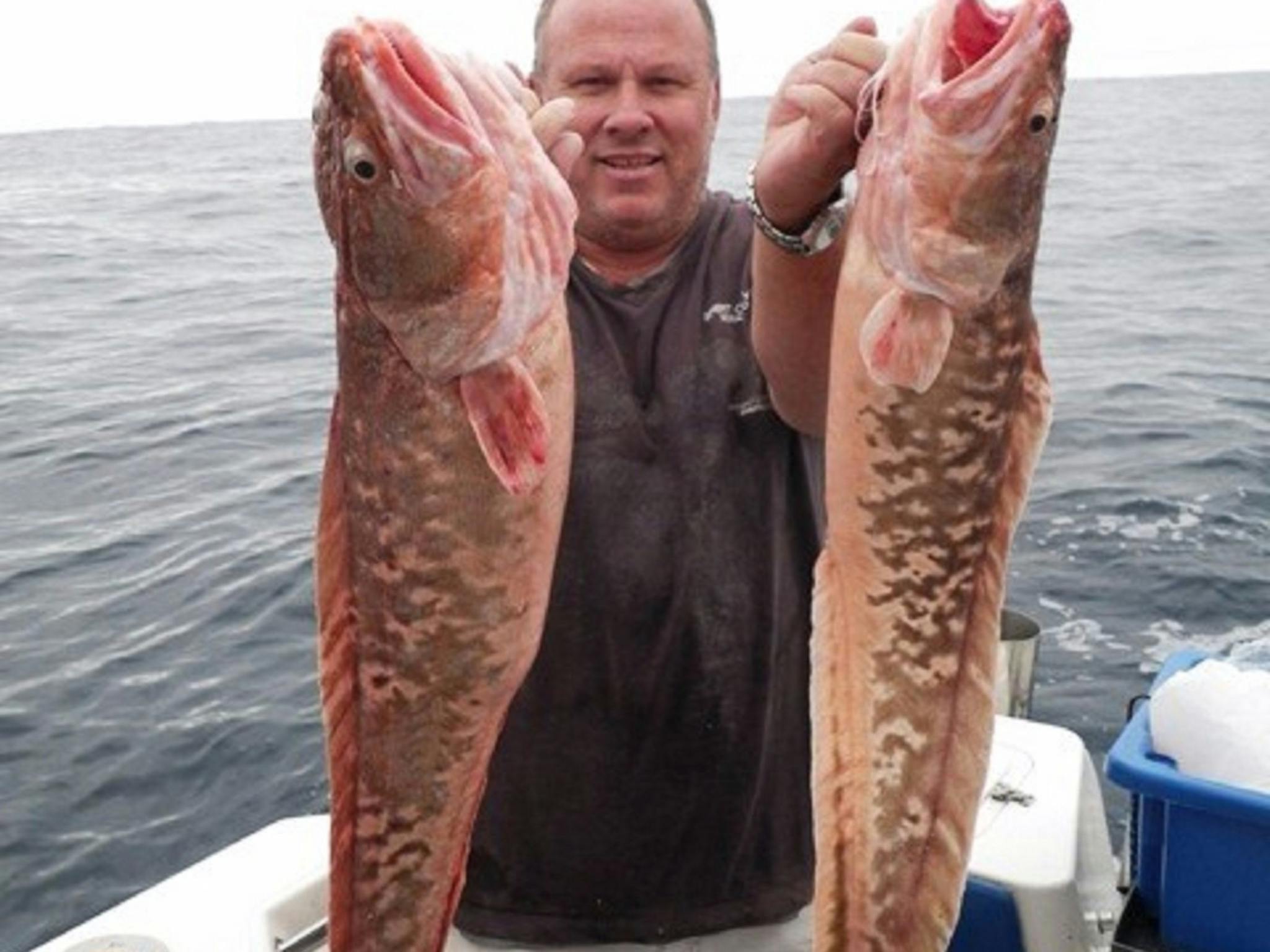 Bermagui Bait and Tackle