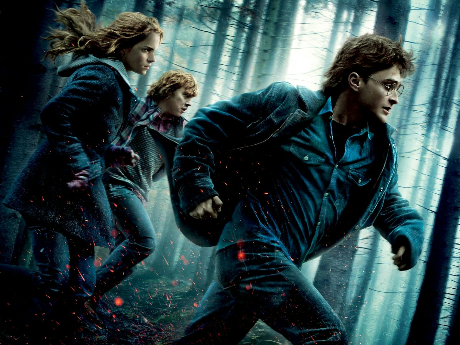 Harry Potter and the Deathly Hallows Part 1 in Concert