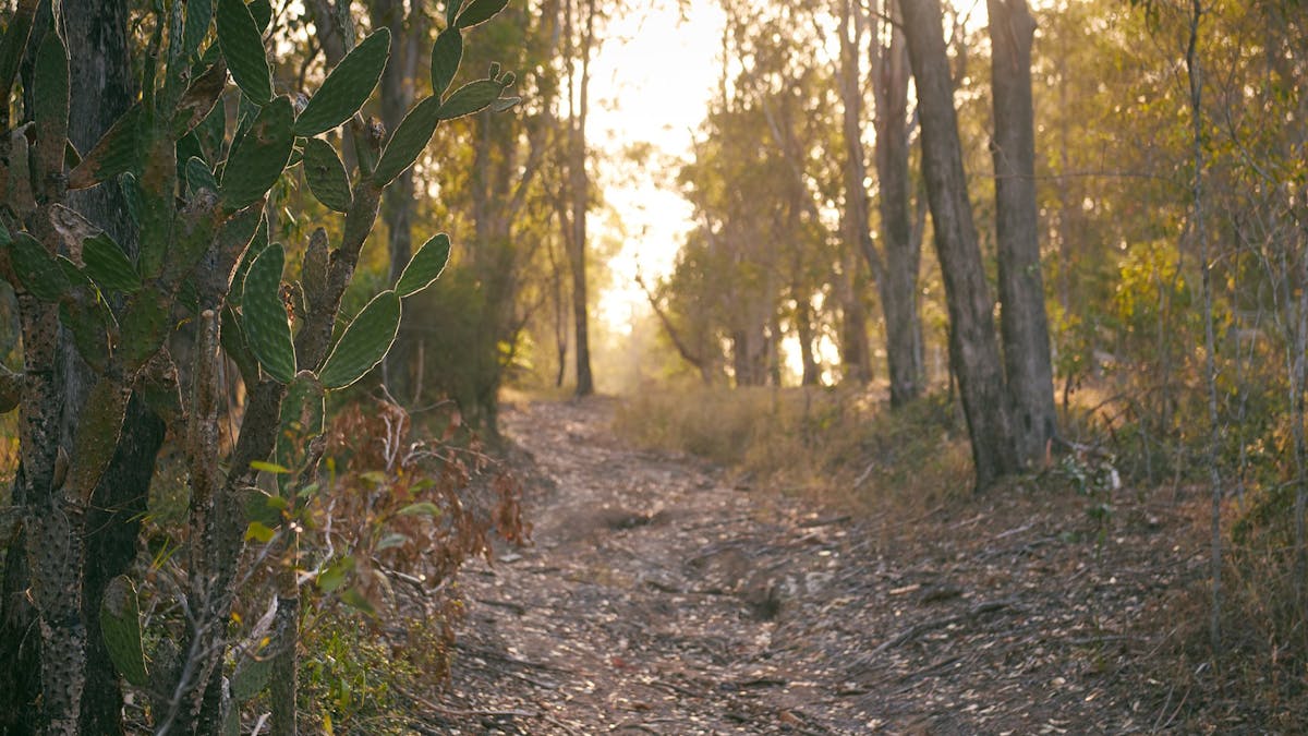 Raysource Road