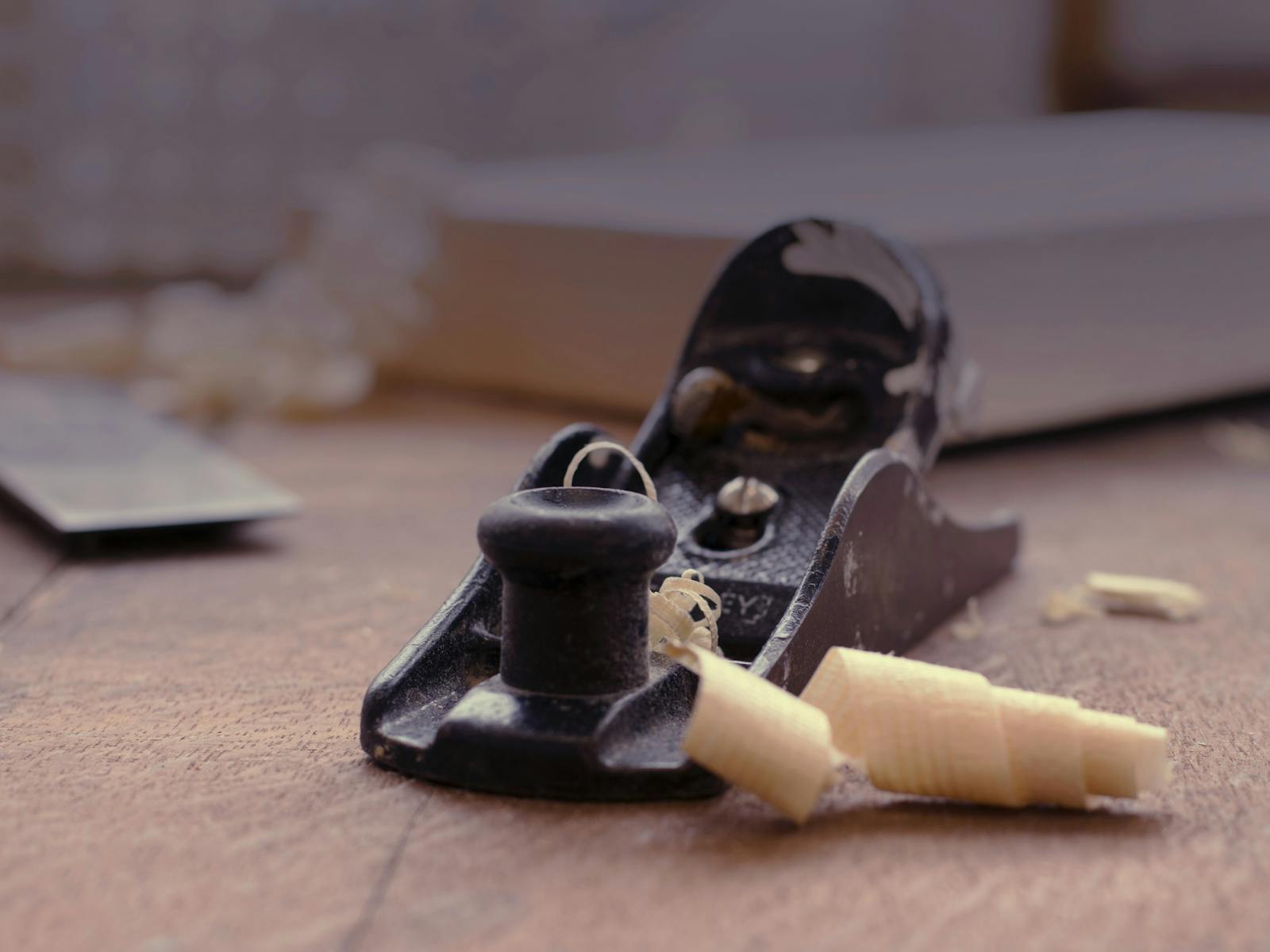 Image for Animal and Bird Whittling with Carol Russell